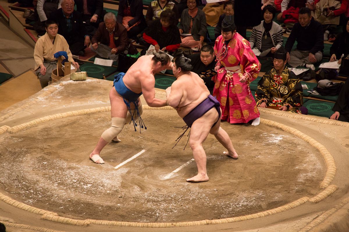 Sumo wrestling. Япония сумо. Борьба сумо Япония.